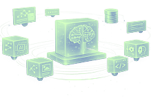Website Design & Development